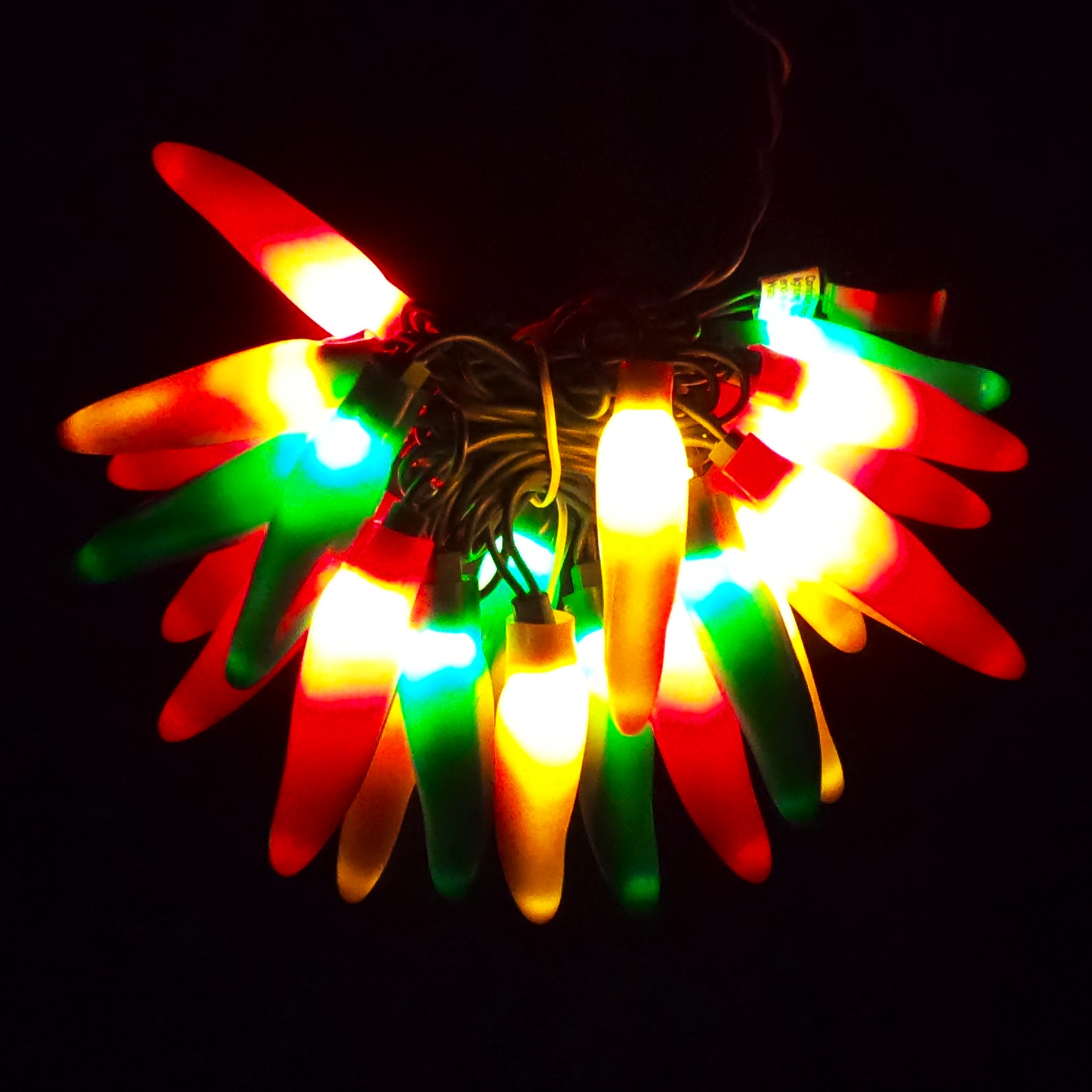 C16125 25 LED Multi-Color Chili Pepper Lights bunched light by RC Company LLC