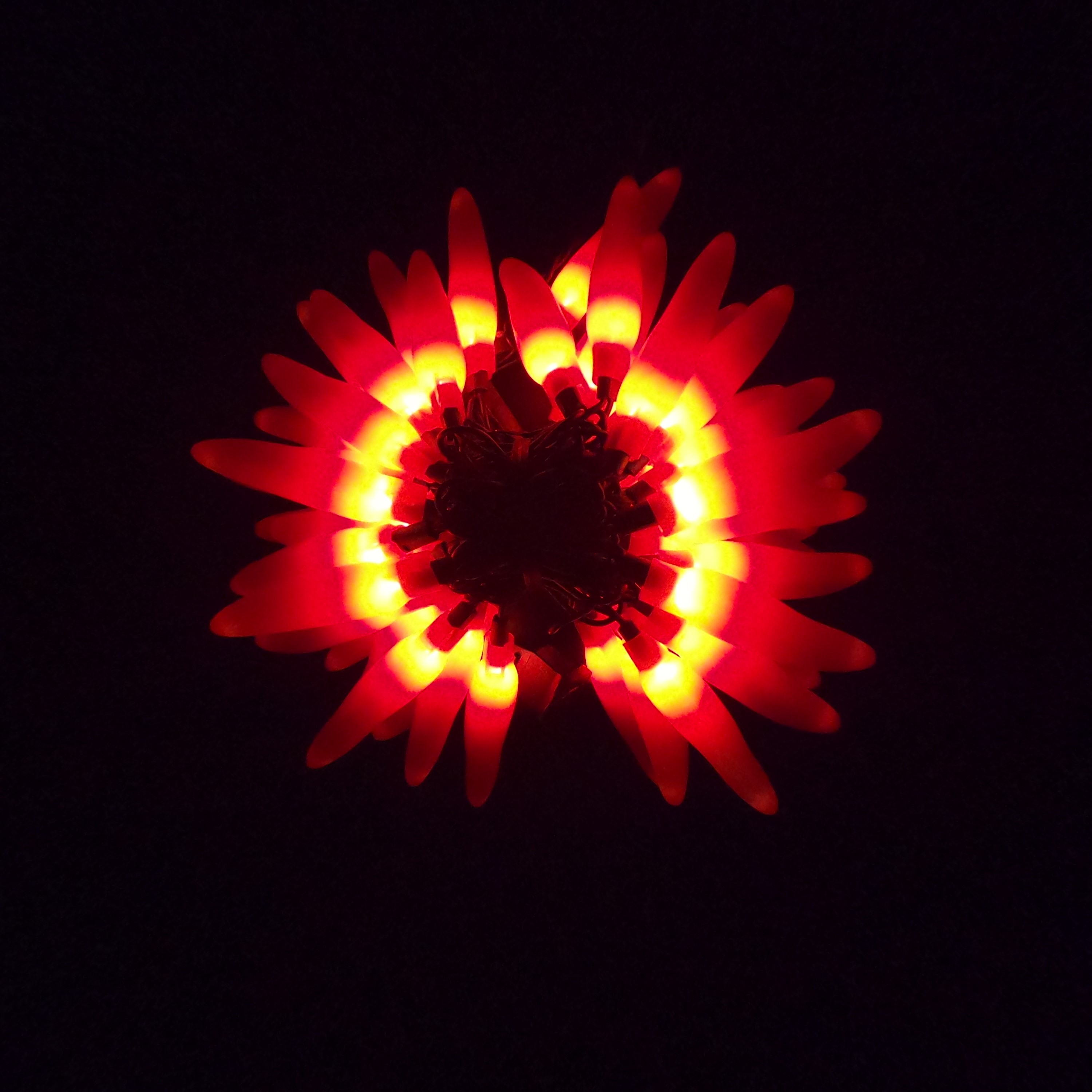 C16050 50 LED Red Chili Pepper Lights bunched light by RC Company LLC