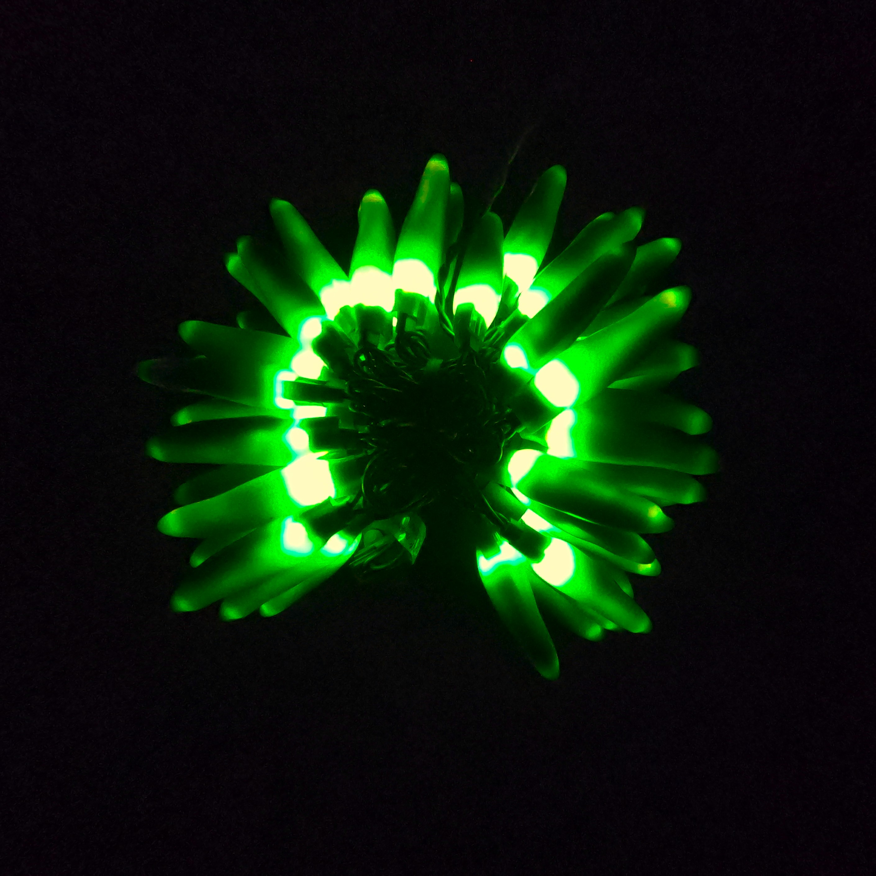 C16250 50 LED Green Chili Pepper Lights bunched light by RC Company LLC