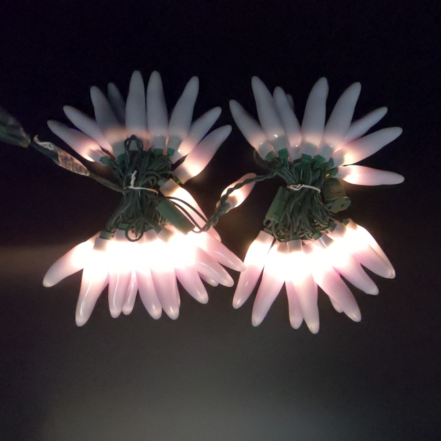 C16450 50 LED White Chili Pepper Lights bunched light by RC Company LLC