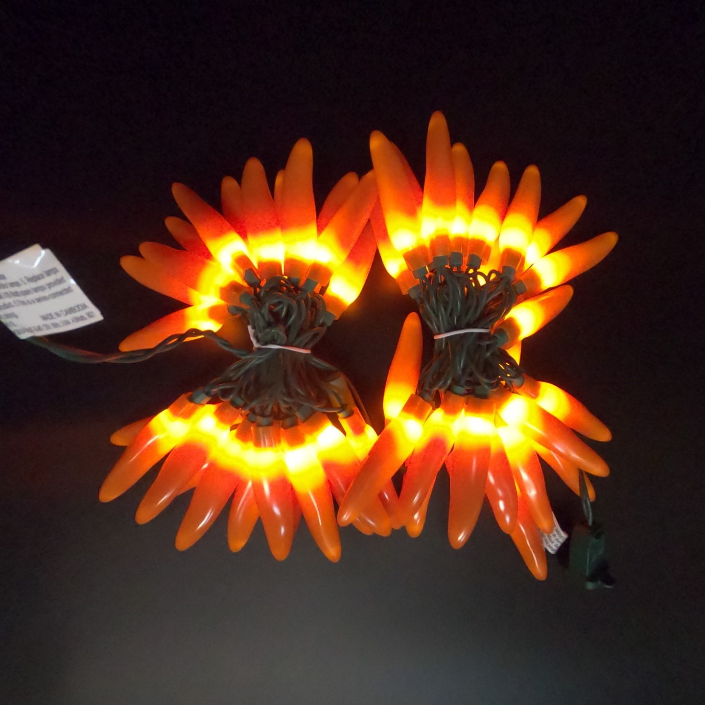 C16750 50 LED Orange Chili Pepper Lights bunched light by RC Company LLC