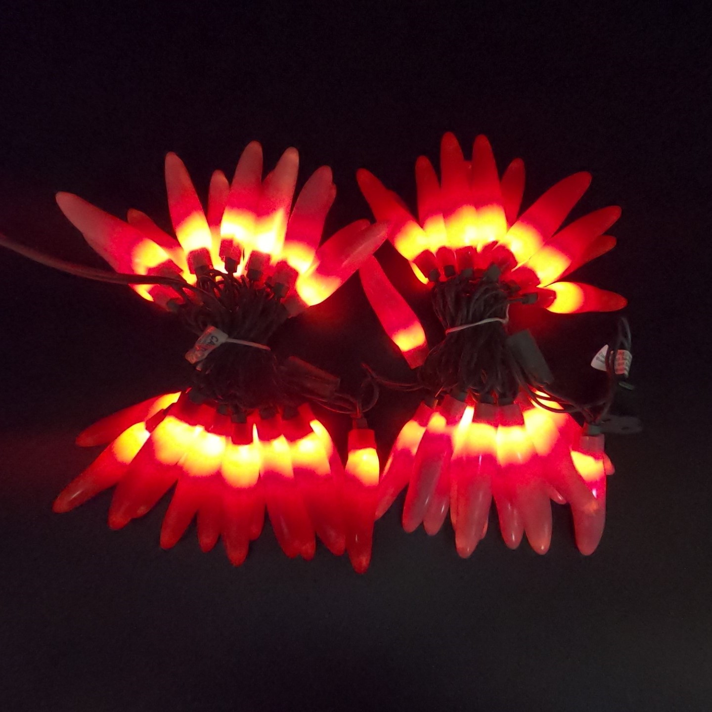 C17450 50 LED Valentine’s Chili Pepper Lights bunched light by RC Company LLC