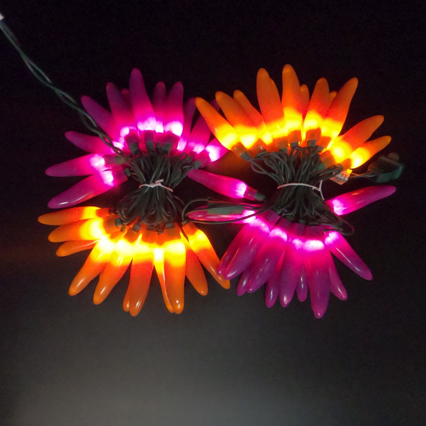 C18350 50 LED Halloween Chili Pepper Lights bunched light by RC Company LLC