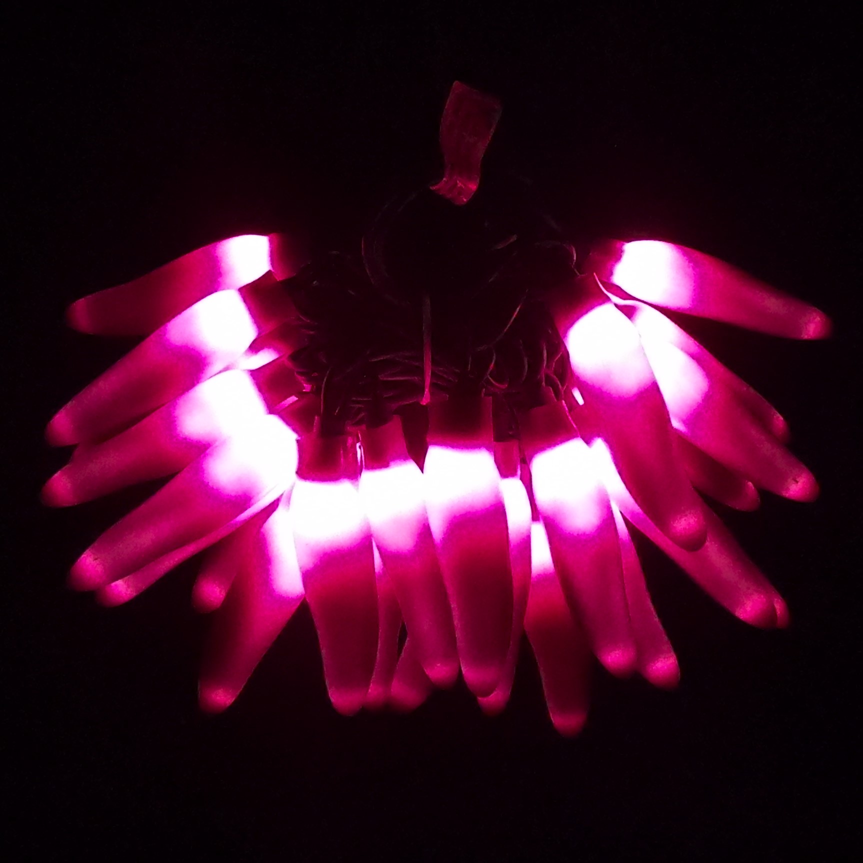 C16625 25 LED Purple Chili Pepper Lights Bunched Light by RC Company LLC