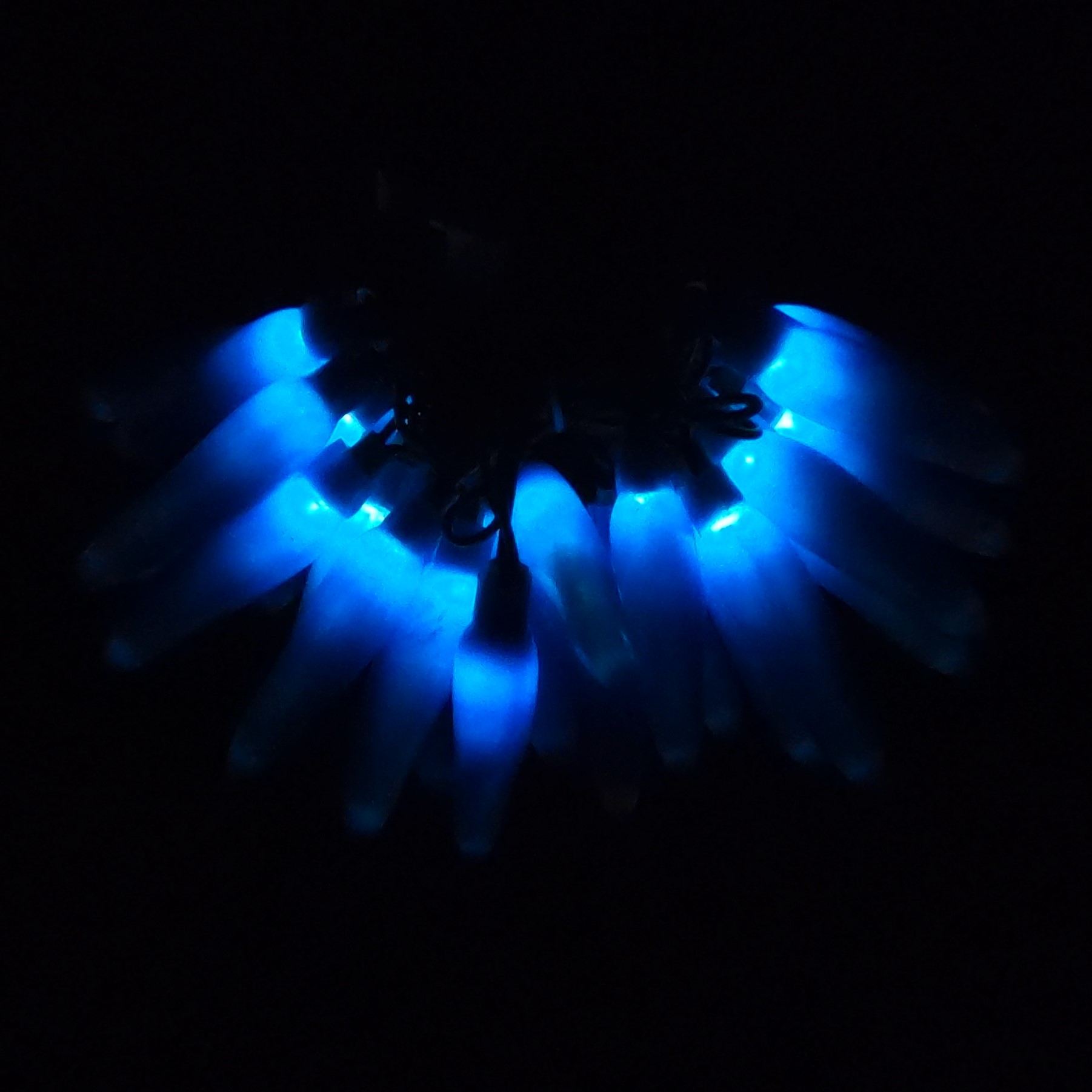 C16825 25 LED Blue Chili Pepper Lights Bunched Light by RC Company LLC