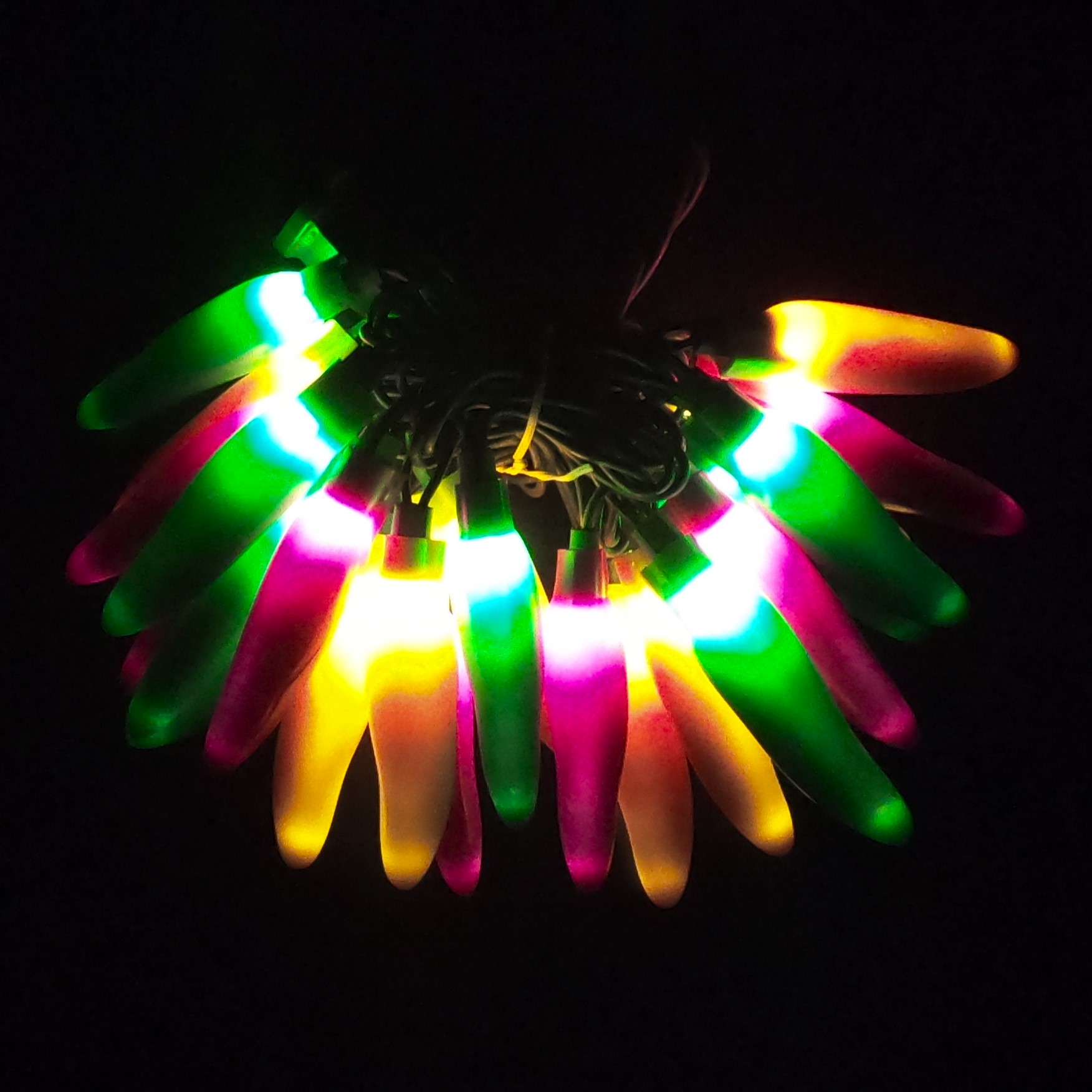 C17125 25 LED Mardi Gras Chili Pepper Lights Bunched light by RC Company LLC