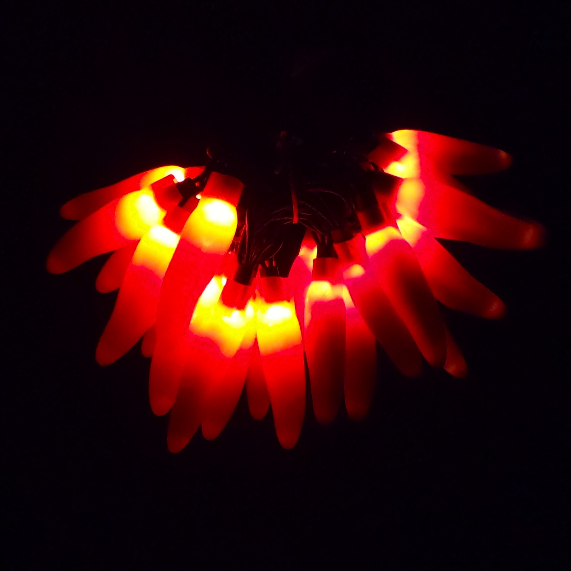 C17425 25 LED Valentine’s Chili Pepper Lights Bunched light by RC Company LLC